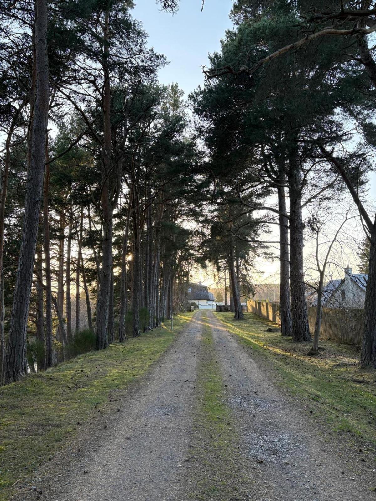 Dalrachney Lodge Carrbridge Exterior photo